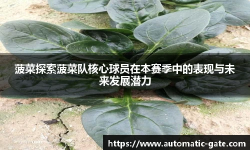 华体会hth首页